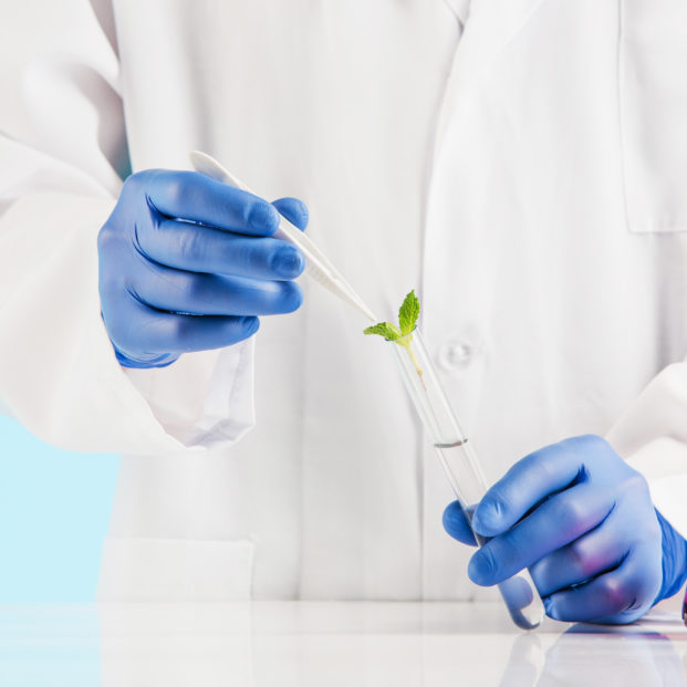 Plant sciences in lab Plant sciences in lab. Experiments in a chemistry lab. conducting an experiment in the laboratory with humen hands